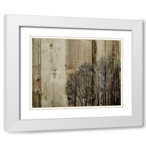 Three Barns White Modern Wood Framed Art Print with Double Matting by Kirshner, Dmitry