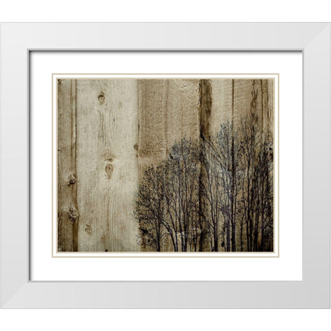 Three Barns White Modern Wood Framed Art Print with Double Matting by Kirshner, Dmitry
