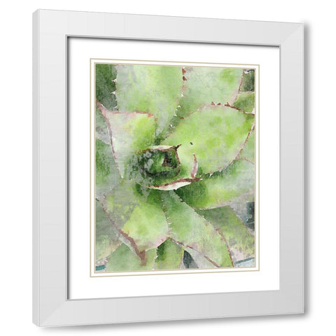Rustic Green Succulent  White Modern Wood Framed Art Print with Double Matting by Orlov, Irena