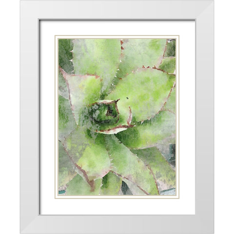 Rustic Green Succulent  White Modern Wood Framed Art Print with Double Matting by Orlov, Irena