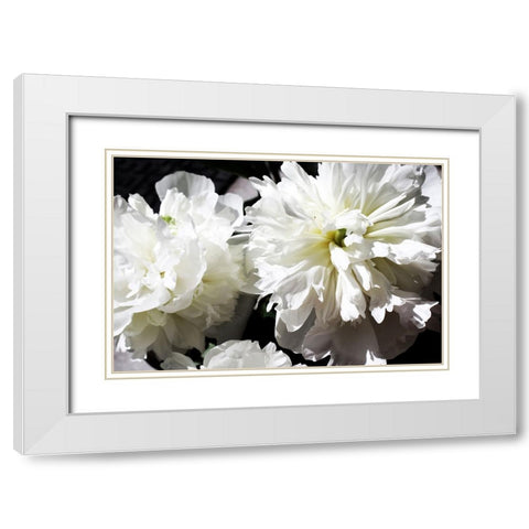 White Peony II  White Modern Wood Framed Art Print with Double Matting by Orlov, Irena