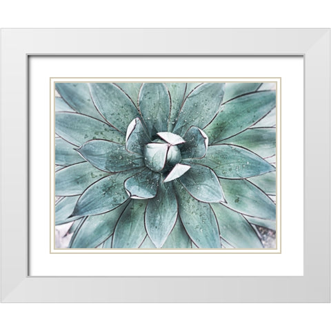 Stunning Agave II White Modern Wood Framed Art Print with Double Matting by Orlov, Irena