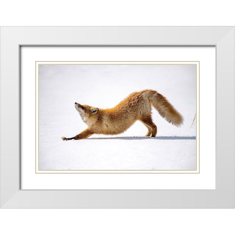 Melting Heart White Modern Wood Framed Art Print with Double Matting by Liu