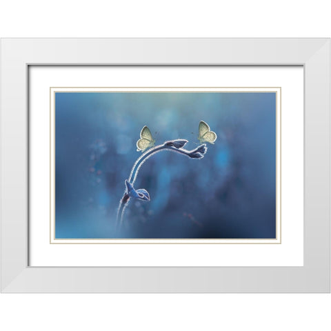 Priyadi-Two Butterflies Meet Each Other White Modern Wood Framed Art Print with Double Matting by 1x