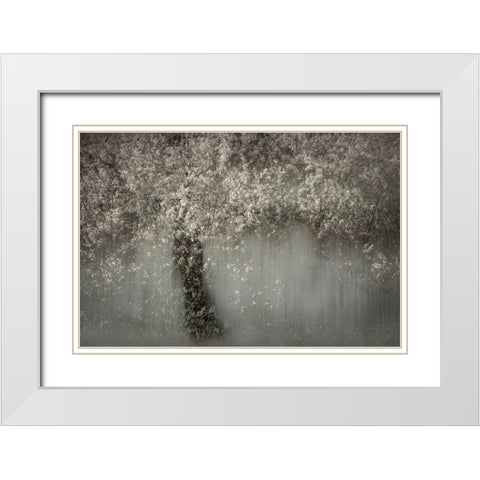 White Blossom White Modern Wood Framed Art Print with Double Matting by Talen