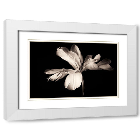 Untitled White Modern Wood Framed Art Print with Double Matting by Myles