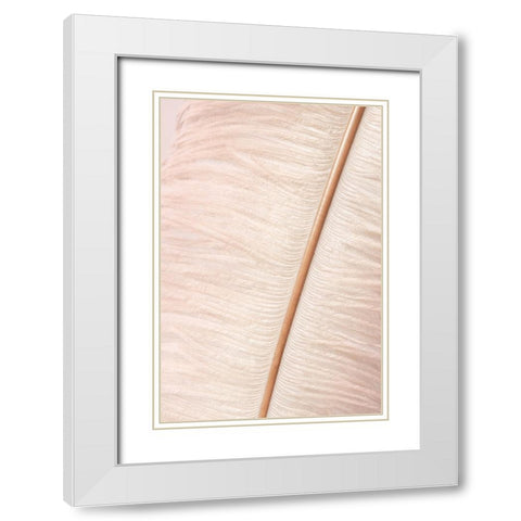 Feather White Modern Wood Framed Art Print with Double Matting by Studio III