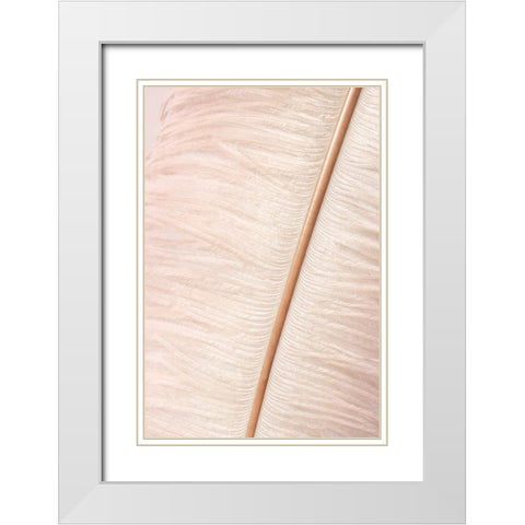 Feather White Modern Wood Framed Art Print with Double Matting by Studio III