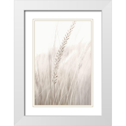 Grass White Modern Wood Framed Art Print with Double Matting by Studio III