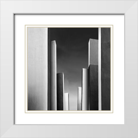 Di Sebastiano - Il Giardino Incantato II White Modern Wood Framed Art Print with Double Matting by Sebastiano, Di