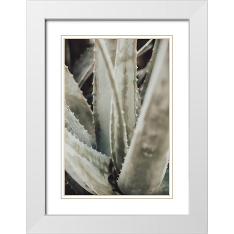 Studio III - Aloe 001 White Modern Wood Framed Art Print with Double Matting by Studio III