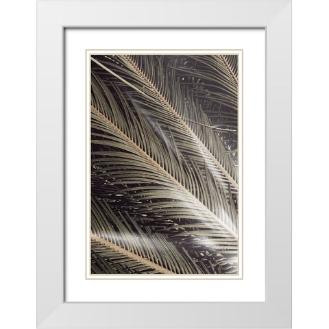 Studio III - Palmblad 002 White Modern Wood Framed Art Print with Double Matting by Studio III