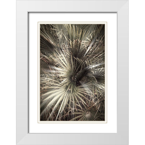 Studio III - Palmblad 006 White Modern Wood Framed Art Print with Double Matting by Studio III