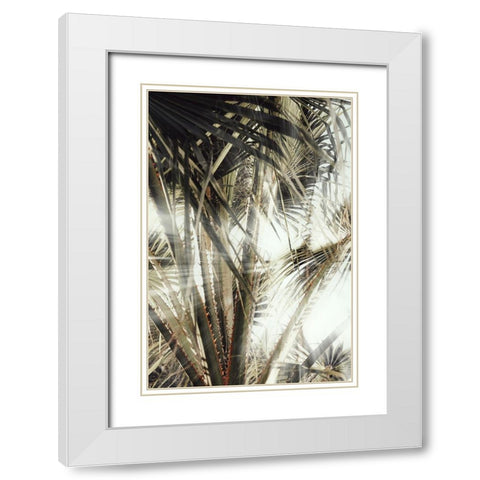 Studio III - Palmblad 003 White Modern Wood Framed Art Print with Double Matting by Studio III