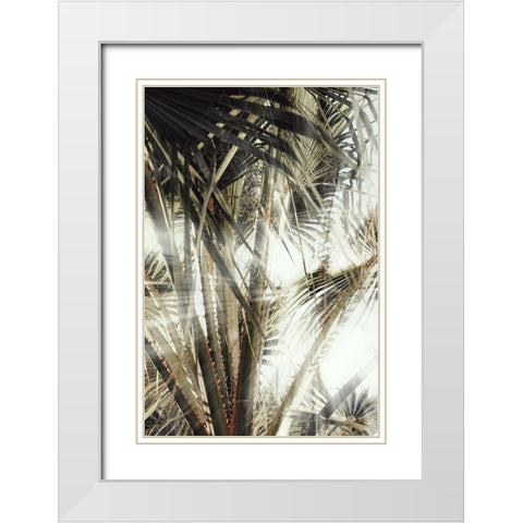 Studio III - Palmblad 003 White Modern Wood Framed Art Print with Double Matting by Studio III