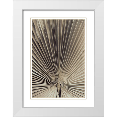 Studio III - Palmblad 001 White Modern Wood Framed Art Print with Double Matting by Studio III
