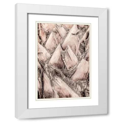 Studio III - Solaris 07 White Modern Wood Framed Art Print with Double Matting by Studio III