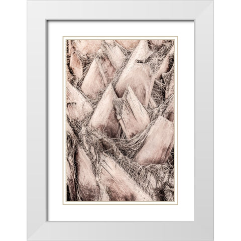 Studio III - Solaris 07 White Modern Wood Framed Art Print with Double Matting by Studio III