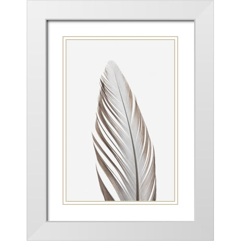 Studio III - Feather 003  White Modern Wood Framed Art Print with Double Matting by Studio III