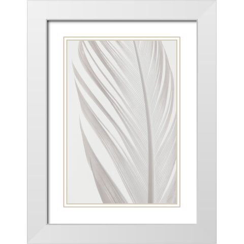 Studio III - Feather 006 White Modern Wood Framed Art Print with Double Matting by Studio III