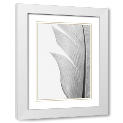 Studio III - Feather 004 White Modern Wood Framed Art Print with Double Matting by Studio III