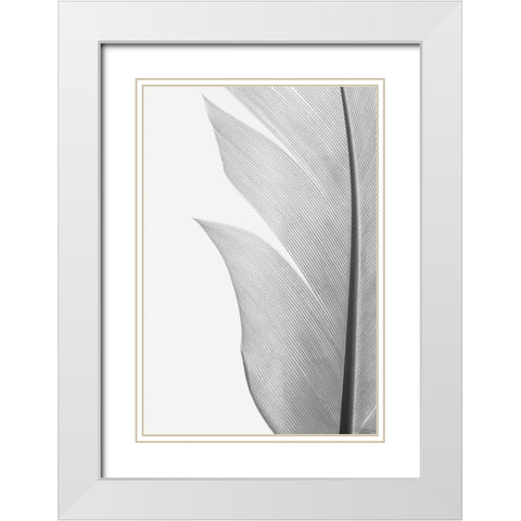 Studio III - Feather 004 White Modern Wood Framed Art Print with Double Matting by Studio III