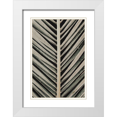 Studio III - Palmblad 005  White Modern Wood Framed Art Print with Double Matting by Studio III