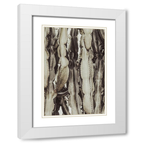 Studio III - Cactus 001  White Modern Wood Framed Art Print with Double Matting by Studio III