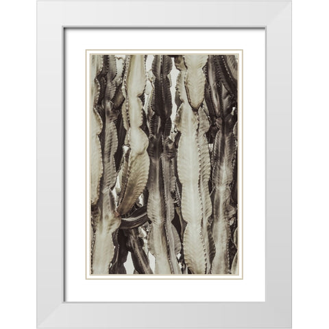 Studio III - Cactus 001  White Modern Wood Framed Art Print with Double Matting by Studio III