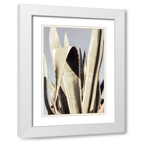 Studio III - Agave 001 White Modern Wood Framed Art Print with Double Matting by Studio III