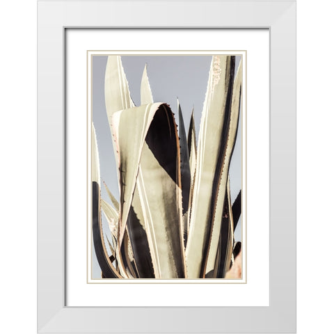 Studio III - Agave 001 White Modern Wood Framed Art Print with Double Matting by Studio III