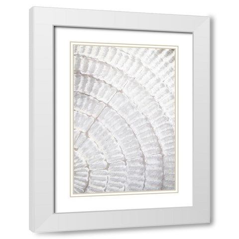 Studio III - Pattern Plate I  White Modern Wood Framed Art Print with Double Matting by Studio III
