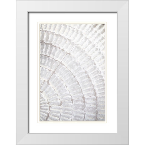 Studio III - Pattern Plate I  White Modern Wood Framed Art Print with Double Matting by Studio III