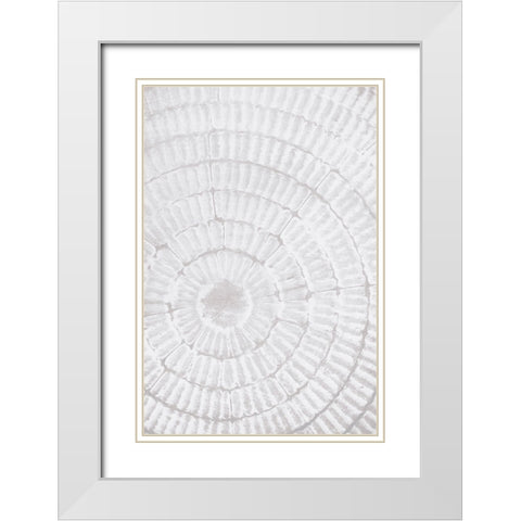 Studio III - Pattern Plate II  White Modern Wood Framed Art Print with Double Matting by Studio III