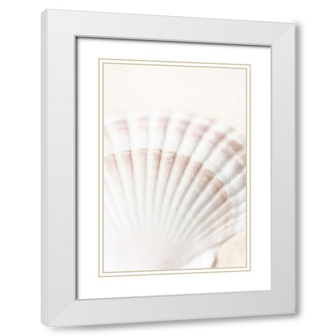 Studio III - Shell  White Modern Wood Framed Art Print with Double Matting by Studio III