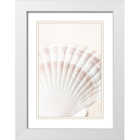 Studio III - Shell  White Modern Wood Framed Art Print with Double Matting by Studio III