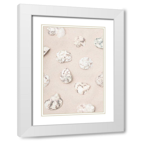 Studio III - Shells II  White Modern Wood Framed Art Print with Double Matting by Studio III