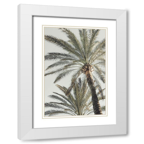 Studio III - Palm 005  White Modern Wood Framed Art Print with Double Matting by Studio III