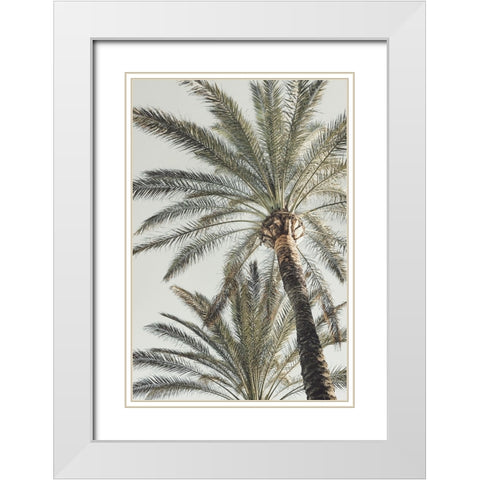 Studio III - Palm 005  White Modern Wood Framed Art Print with Double Matting by Studio III