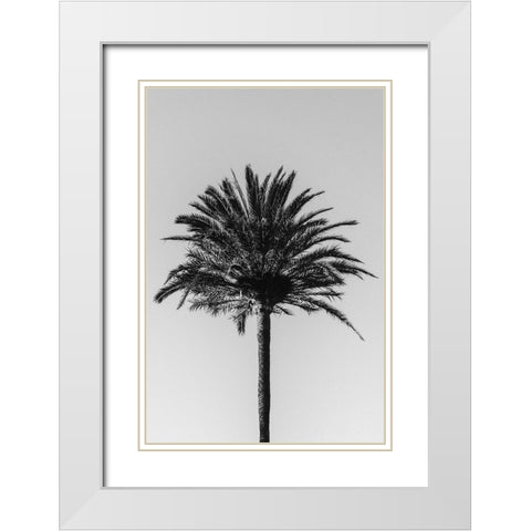 Studio III - Palm 003 White Modern Wood Framed Art Print with Double Matting by Studio III