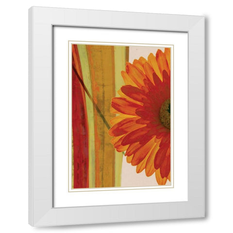 Burst White Modern Wood Framed Art Print with Double Matting by PI Studio