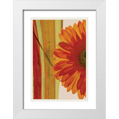 Burst White Modern Wood Framed Art Print with Double Matting by PI Studio