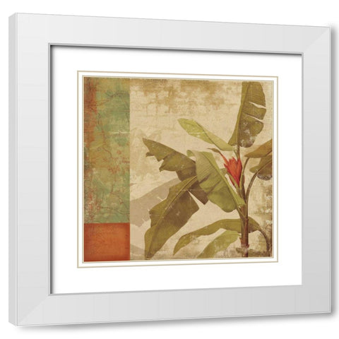 Planta White Modern Wood Framed Art Print with Double Matting by PI Studio