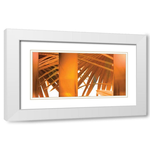 Tangerine White Modern Wood Framed Art Print with Double Matting by PI Studio