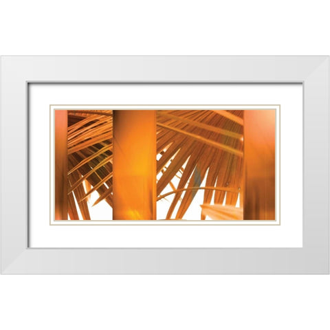 Tangerine White Modern Wood Framed Art Print with Double Matting by PI Studio