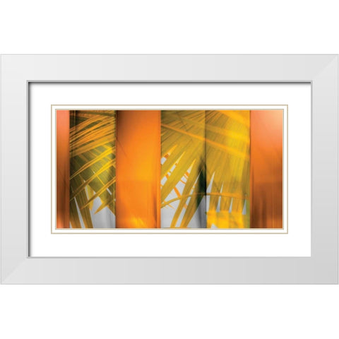 Tangerine and Cream White Modern Wood Framed Art Print with Double Matting by PI Studio