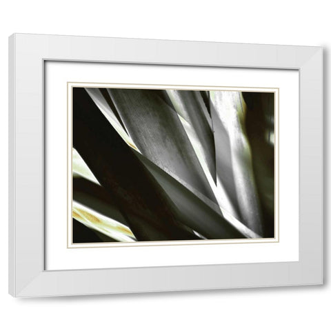 Transparent White Modern Wood Framed Art Print with Double Matting by PI Studio