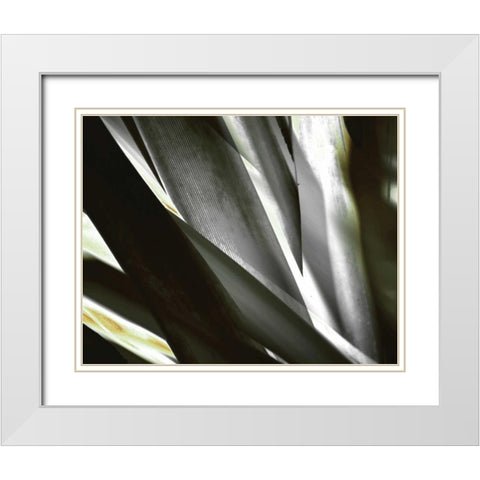 Transparent White Modern Wood Framed Art Print with Double Matting by PI Studio