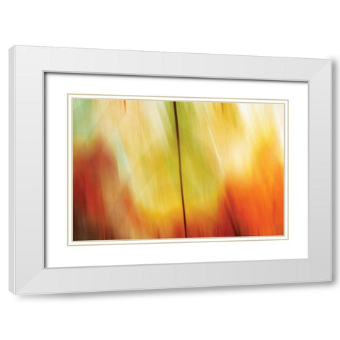 Tie Dye I White Modern Wood Framed Art Print with Double Matting by PI Studio