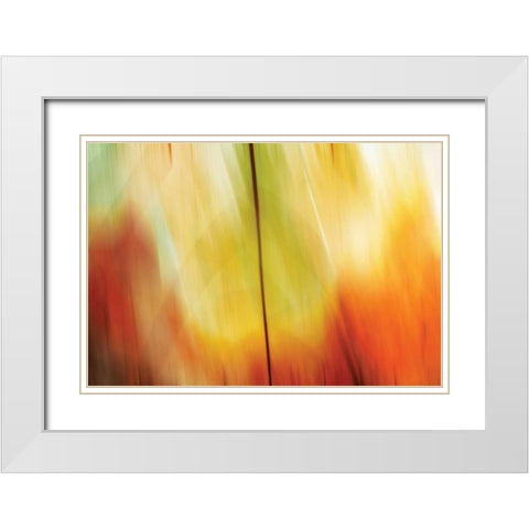 Tie Dye I White Modern Wood Framed Art Print with Double Matting by PI Studio